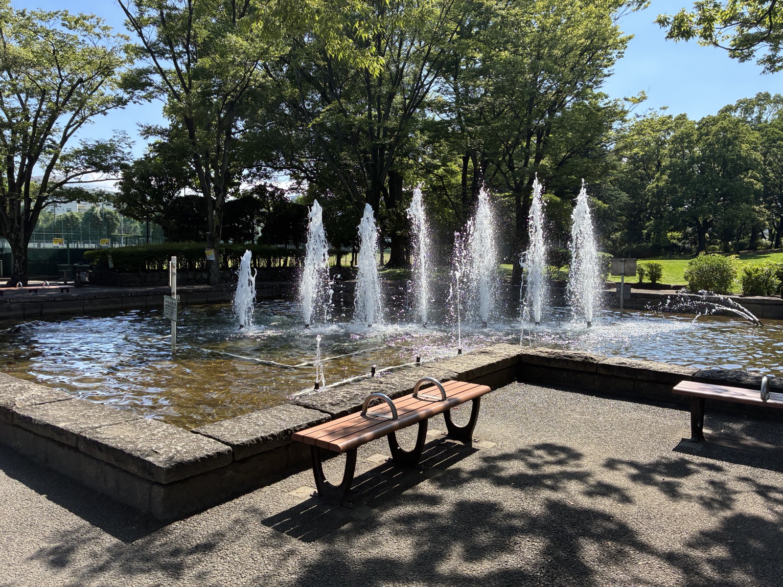 公園の噴水